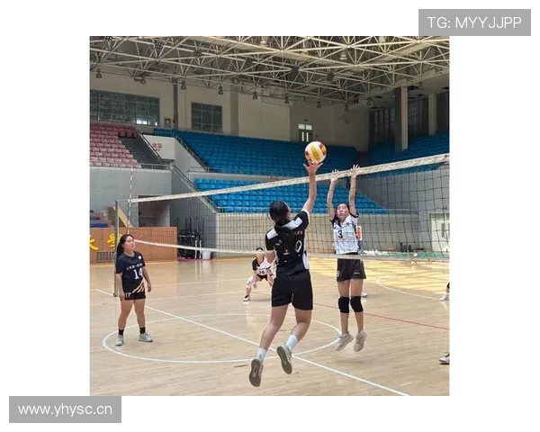 精选排球装备推荐助你提升竞技水平与舒适体验